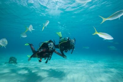 Beginners Scuba Diving Experience in Gran Canaria - Meeting Point on Calle Olimpicos and the Logistics You Should Know