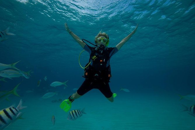 Beginners Scuba Diving Experience in Gran Canaria - Quick Tips So You Enjoy It Instead of Just Surviving It