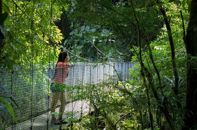 Best of La Fortuna: Hanging Bridges, Waterfall and Arenal Volcano - Stop 3: Arenal Hanging Bridges for Rainforest Views From Above