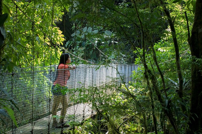 Best of La Fortuna: Hanging Bridges, Waterfall and Arenal Volcano - Evening Option: Geothermal Hot Springs to Close the Day