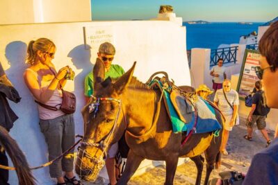 Best of Santorini Full Day Private Trip From Mykonos - Morning logistics: pickup, ferry tickets, and fast boarding help