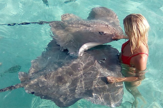 Best Way to Interact with Ocean Wildlife with Lunch. 6H - Pickup timing and day planning so you don’t lose snorkel time