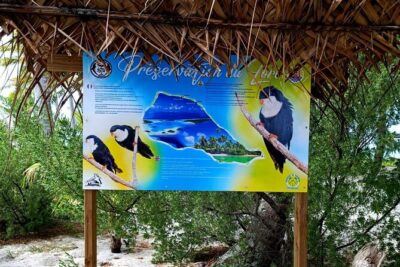 BLUE LAGOON | Eco-tour | Snorkeling Avatoru | Secret Green Lagoon - Getting there matters: pickup timing and a small-group rhythm