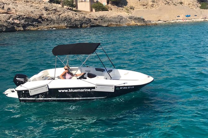 Bluemarine.me license free Bayliner Element E5 rental - Key things you should know before you go