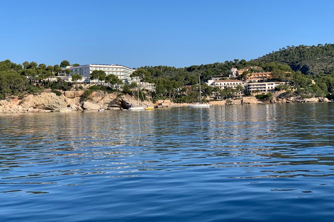 Bluemarine.me license free Bayliner Element E5 rental - Why a license-free Bayliner E5 makes Mallorca feel easy