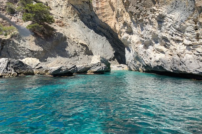 Bluemarine.me license free Bayliner Element E5 rental - The snorkeling setup that actually lets you swim, not just watch
