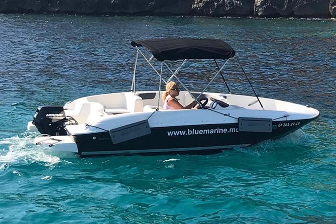 Bluemarine.me license free Bayliner Element E5 rental - How the 2-hour format really works on the water