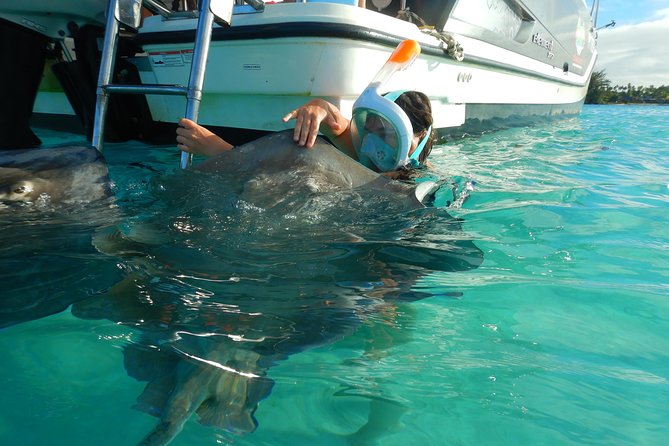 Boat tour 1/2 day Excursion in the lagoon of Moorea - Key Things to Know Before You Go