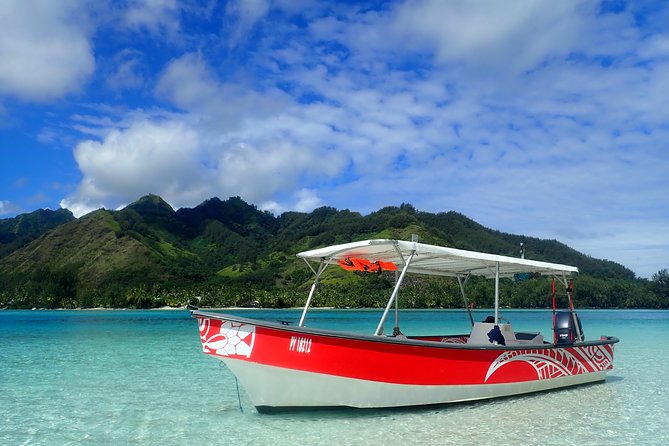 Boat tour 1/2 day Excursion in the lagoon of Moorea - Moorea Lagoon Wildlife, With Real Time in the Water