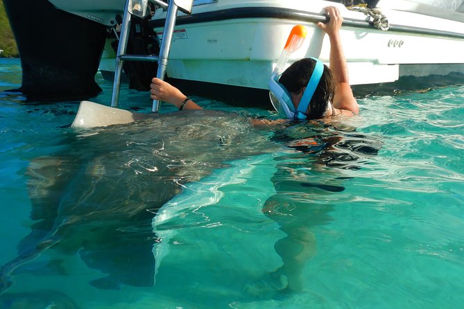 Boat tour 1/2 day Excursion in the lagoon of Moorea - What’s Included (And What You’ll Need to Bring)