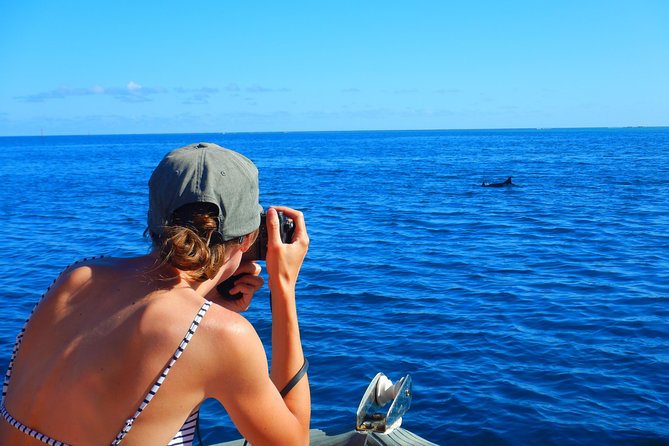 Boat tour 1/2 day Excursion in the lagoon of Moorea - Views Along the North Coast: Cook and Opunohu Bay Time