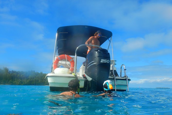Boat tour 1/2 day Excursion in the lagoon of Moorea - Price and Value: Is $121.46 a Good Deal?