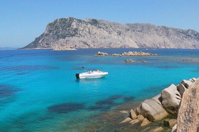 Boat Tour and Snorkeling Golfo di Olbia Private up to 6 people - Key highlights at a glance
