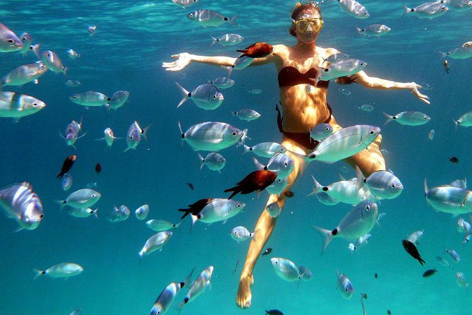 Boat Tour and Snorkeling Golfo di Olbia Private up to 6 people - Golfo di Olbia by private speedboat: what you’re really buying