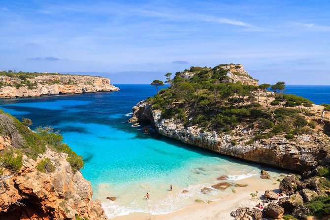 Boat tour from Cala Figuera to Caló del Moro and S´Almonia - Getting to the Boat: Cala Figuera’s Simple Start