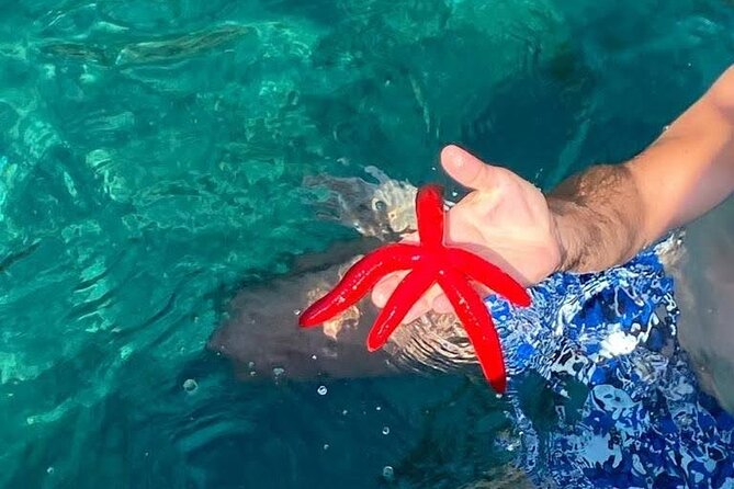 Boat tour Giardini Naxos Taormina Isola Bella Blue Grotto - Isola Bella history and protection: why you see it instead of landing