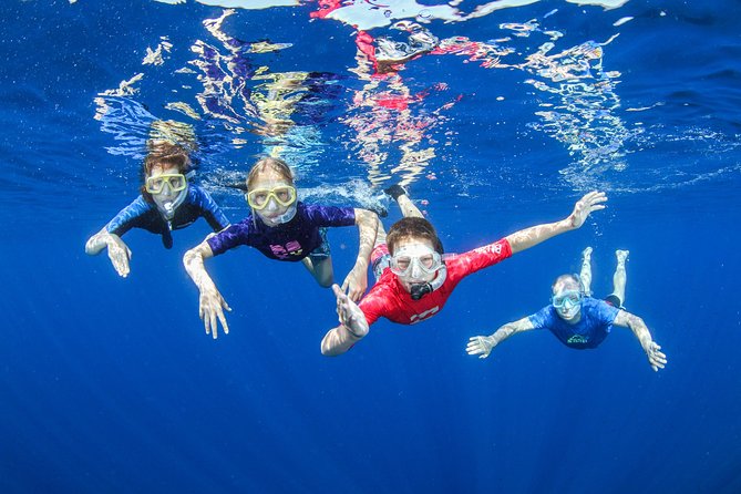 Boat Trip in Crete with Guided Snorkeling and Free Pick up! - Key highlights worth your attention