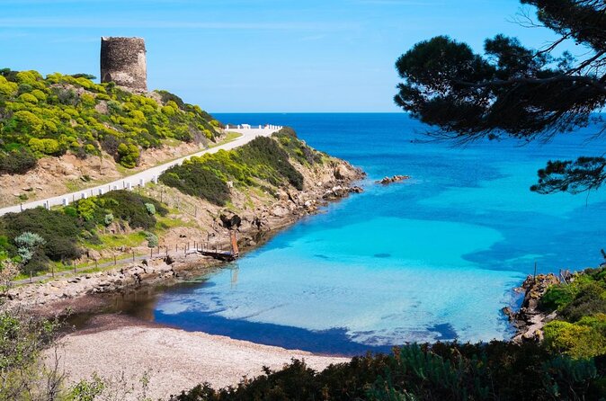 Boat trip to Asinara with lunch in Stintino - Key points to know before you go