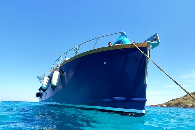 Boat trip to Asinara with lunch in Stintino - Sardinian-style lunch on board: what’s included and why it matters