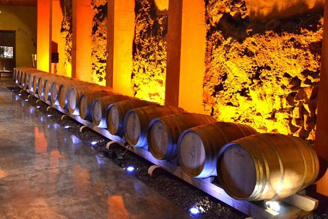 Bodegas Monje Winery Ticket w/Wine Tasting & Mojo Sauce Workshop - Learning that mojos aren’t interchangeable