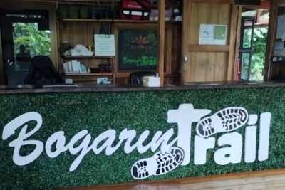 Bogarin Trail Sloth Guided Tour - What you can realistically see: sloths, birds, frogs, and surprises