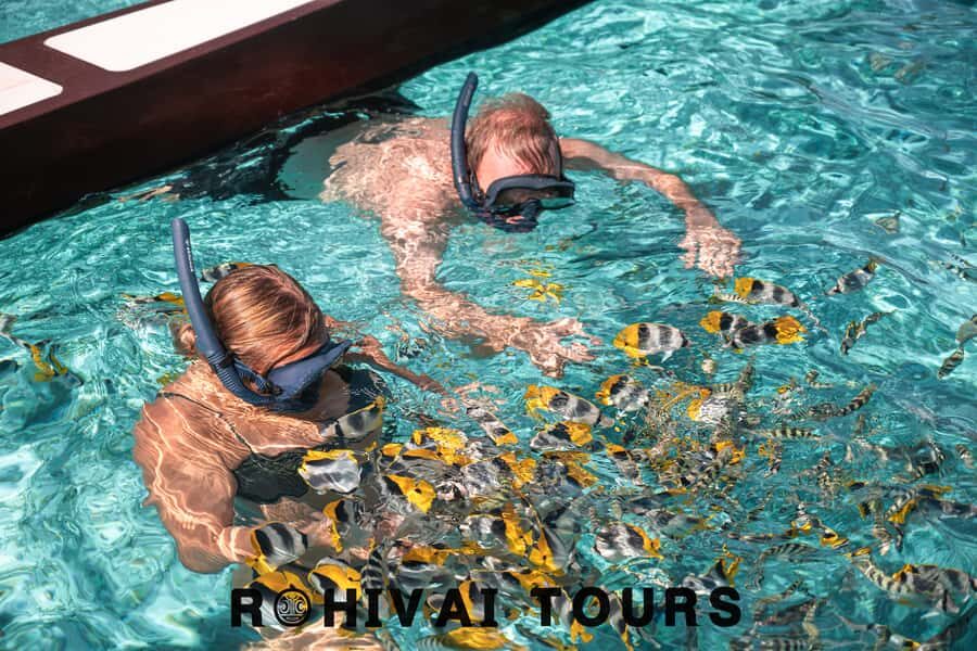 Bora Bora: 1/2 day lagoon safari - Shared tour - How a 4-hour Bora Bora lagoon safari actually feels