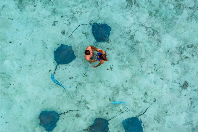 Bora Bora 4WD Tour & Eco Shark & Ray Snorkel Cruise - What you’ll remember most