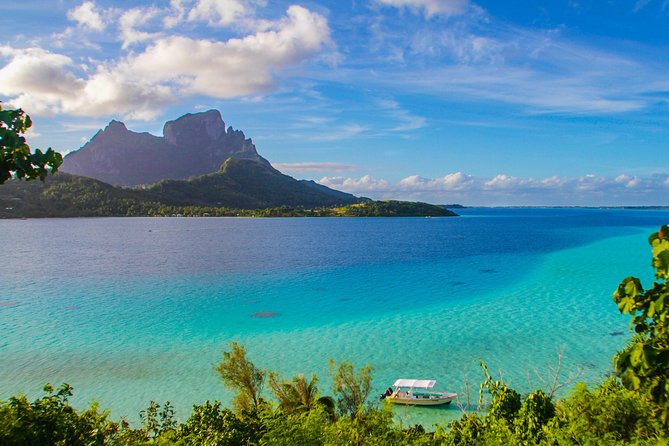 Bora Bora 4WD Tour & Eco Shark & Ray Snorkel Cruise - Price and logistics: does $260.58 feel fair?