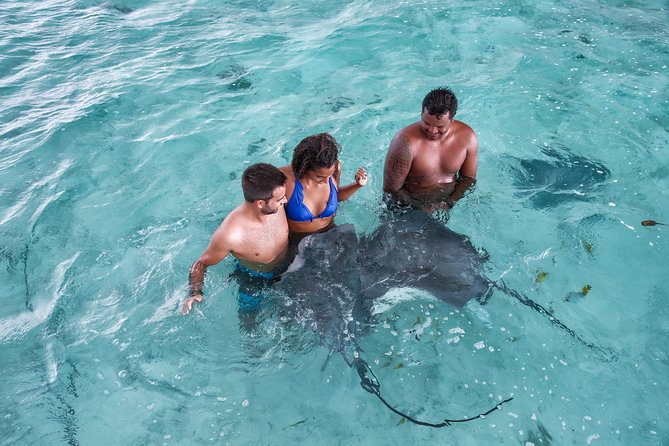 Bora Bora Eco Snorkel Cruise Including Snorkeling with Sharks and Stingrays - Key things that make this cruise worth your time