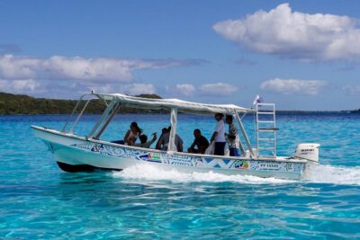 Bora Bora Eco Snorkel Cruise Including Snorkeling with Sharks and Stingrays - Stop 1: shark-and-ray spotting in knee-deep lagoon water