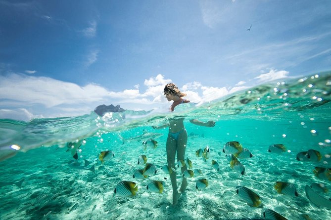 Bora Bora Eco Snorkel Cruise Including Snorkeling with Sharks and Stingrays - What to bring so snorkeling feels easy
