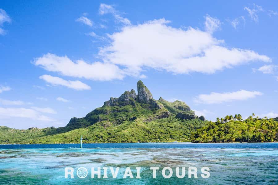Bora Bora: Full day Lagoon Safari & Lunch on a Motu - ST - Stop 1: stingrays and blacktip reef sharks in a lagoon sanctuary