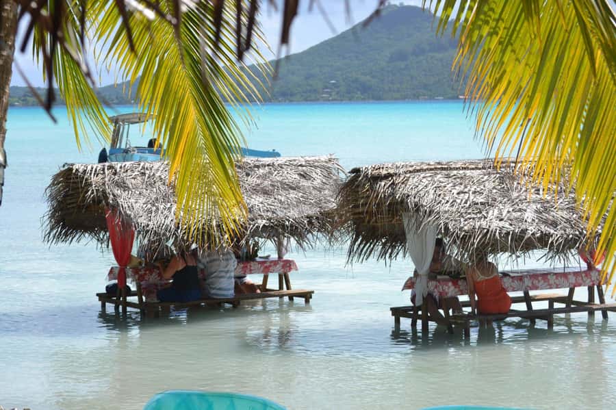 Bora Bora: Full-Day Lagoon Snorkelling Tour - Coral Garden Snorkeling: Color, Shape, and Lots of Fish