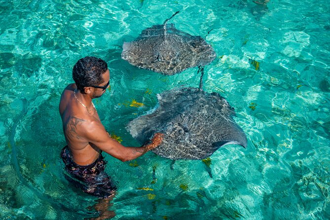 Bora Bora Full Day Snorkeling with Lunch - Meeting point timing: be ready for the 8:30 start