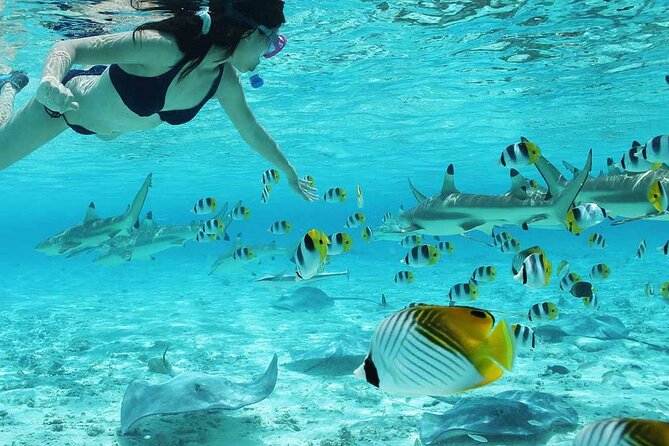 Bora Bora Full Day Snorkeling with Lunch - Guides are the secret sauce here