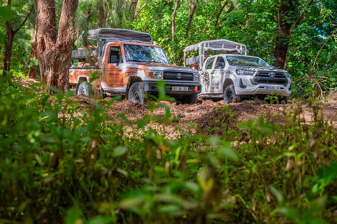 Bora Bora Half Day 4X4 Island Safari Tours - Why This Bora Bora 4x4 Safari Beats a Beach Day