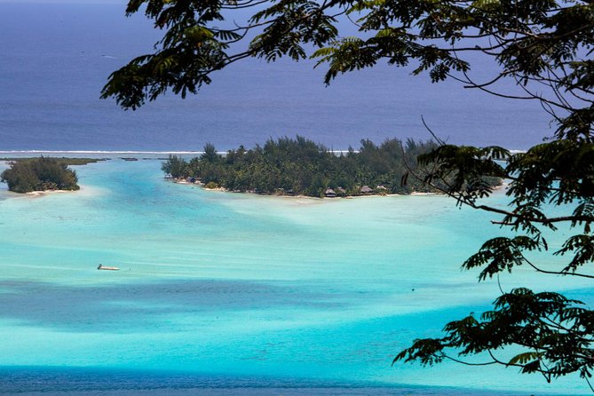 Bora Bora Half Day 4X4 Island Safari Tours - Should You Book Bora Bora Half Day 4x4 Island Safari Tours
