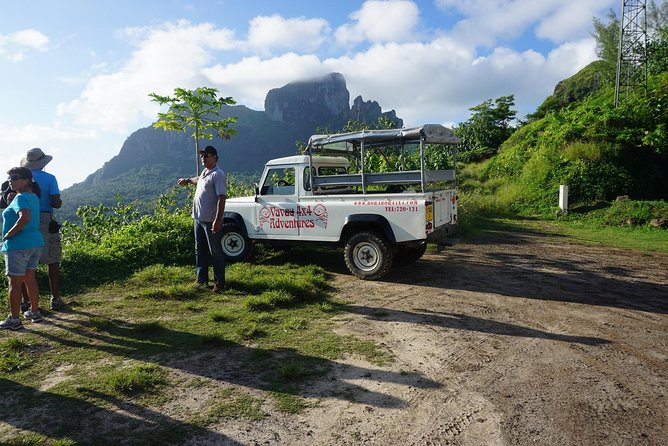 Bora Bora: Half Day Island 4WD Guided Tour - Open-sided 4WD logistics: pickup, small-group vibe, and ride reality