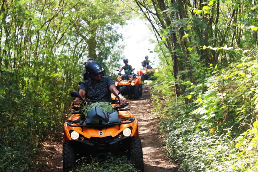 Bora Bora: Island Tour and Mountains Getaway by Quad Bike - A 3-Hour Circle-Loop on Bora Bora’s ATV Roads