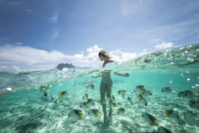 Bora Bora: Jet Ski, Lunch & Shark/ Ray Safari - Jet ski around motus, bays, and Mount Otemanu (2 hours)