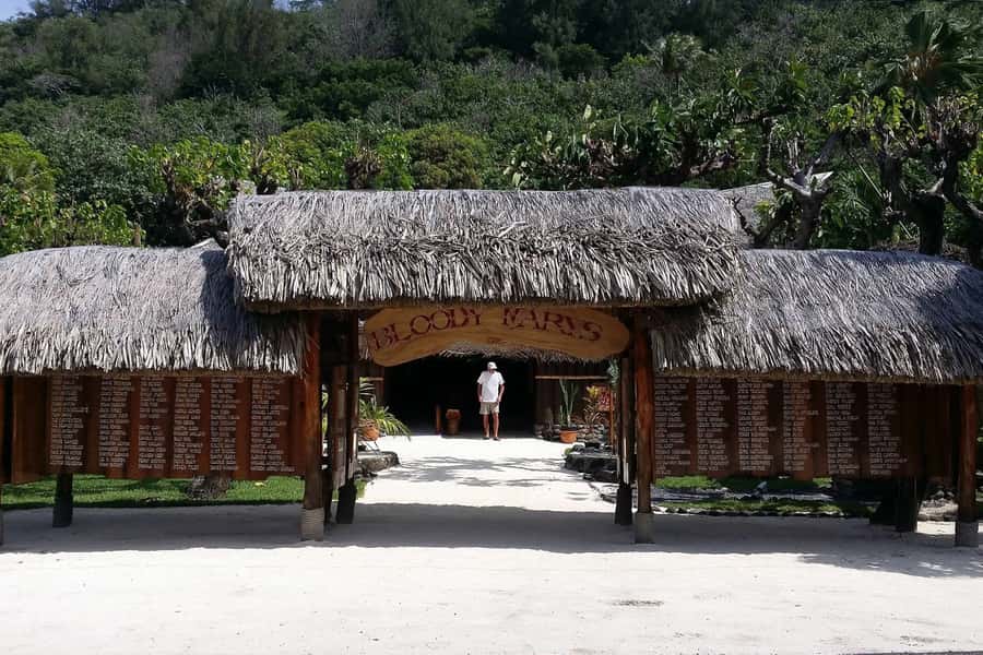 Bora Bora: Jet Ski, Lunch & Shark/ Ray Safari - Safety, guides, and the small-group feel