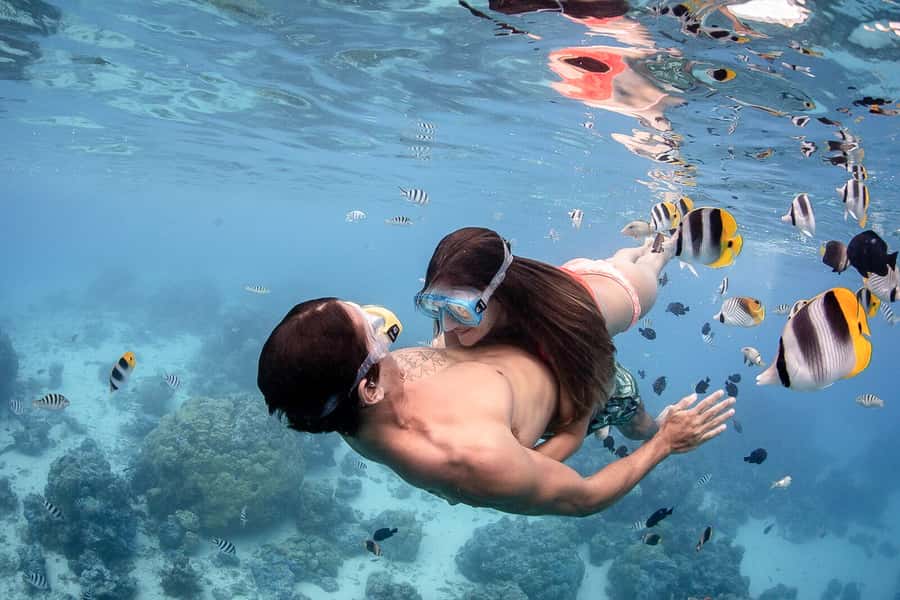 Bora Bora: Jet Ski, Lunch & Shark/ Ray Safari - Should you book this tour?