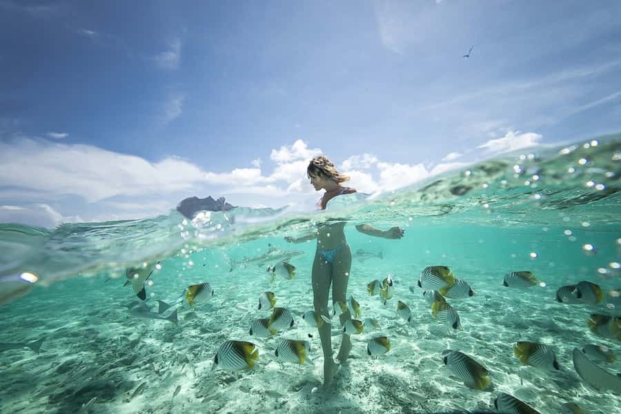 Bora Bora: Jet Ski, Lunch & Shark/ Ray Safari - Jet ski around motus, bays, and Mount Otemanu (2 hours)