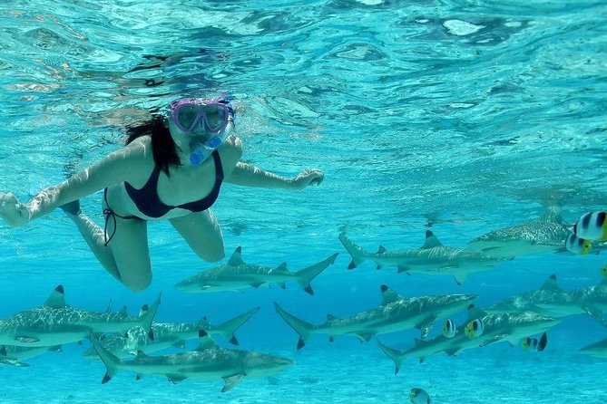 Bora Bora Jet Ski Tour, & Eco Shark / Ray Snorkel Cruise - Guides make or break it: energy, patience, and safety in real terms
