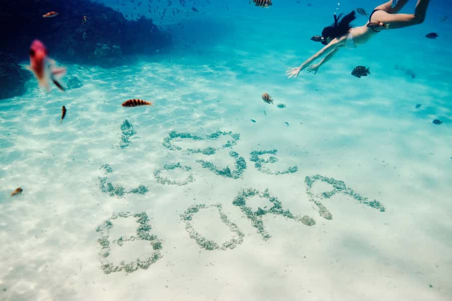 Bora Bora: Lagoon Tour and Snorkeling Experience - Key things that make this lagoon tour worth your time