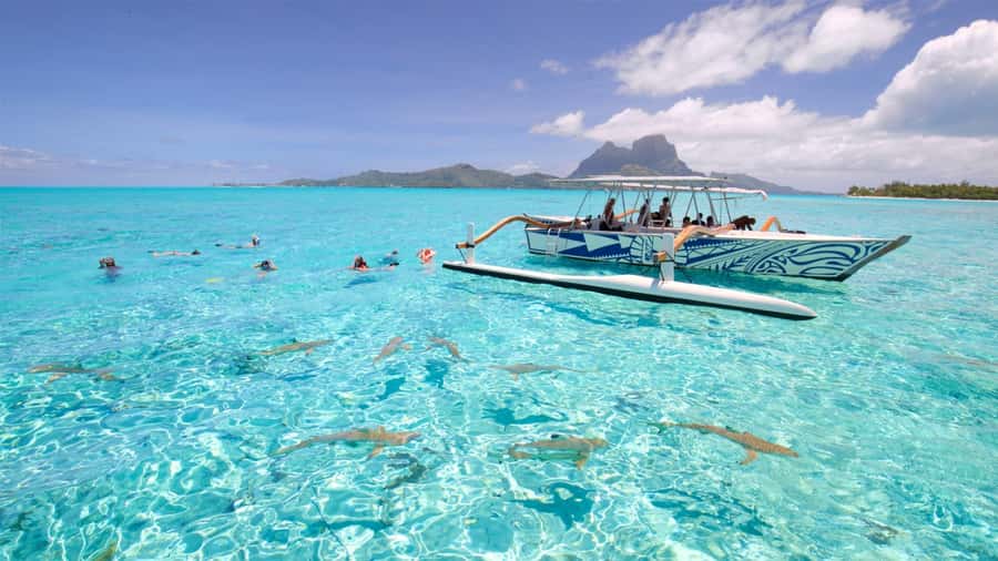 Bora Bora: Lagoon Tour and Snorkeling Experience - Stop 2: A preserved coral garden for fish spotting and calmer vibes