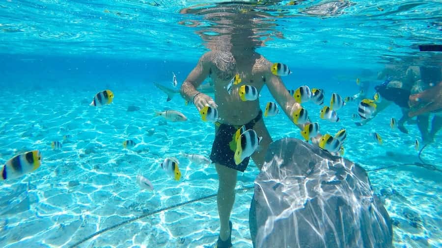 Bora Bora: Lagoon Tour and Snorkeling Experience - Refreshments and Mount Otemanu views at the sandbank