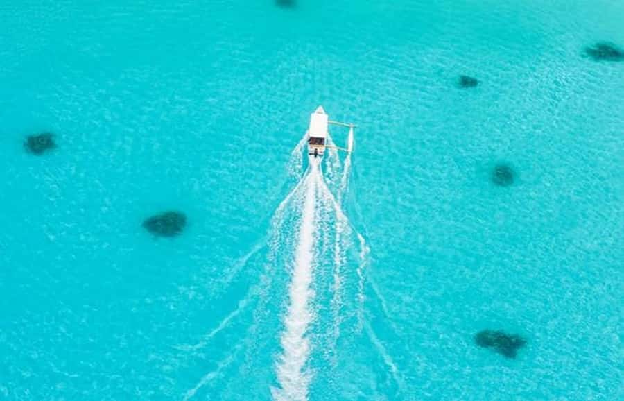 Bora Bora: Lagoon Tour and Snorkeling Experience - Price and value: is $138 per person fair for Bora Bora?