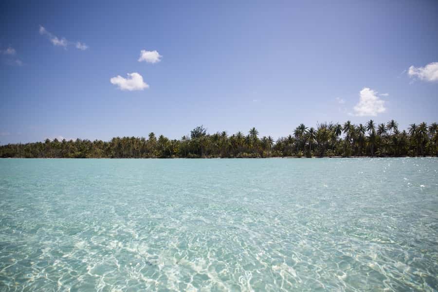 Bora Bora: Lagoon Tour and Snorkeling Experience - Who this tour is perfect for (and who should skip it)