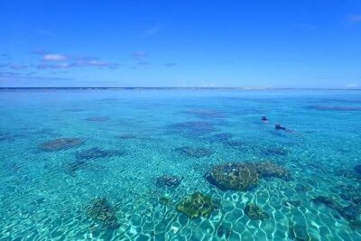 Bora Bora: Luxury Private Half Day Snorkeling Tour - Your 3.5-Hour Lagoon Itinerary: What Each Part Is Really For